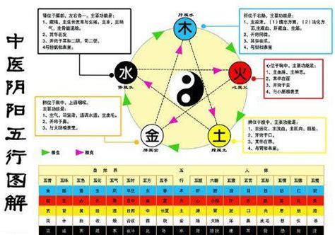 水和金的关系|金生水（五行对应关系）